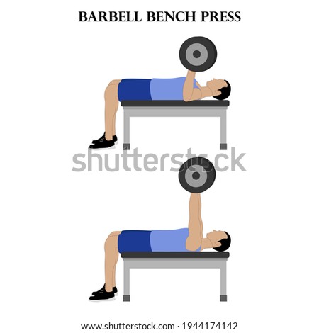 Barbell bench press vector illustration on the white background.