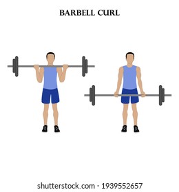 Barbell curl workout exercise vector illustration on the white background. Vector illustration