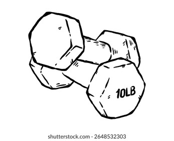 Barbell dumbbell for home workouts, weight lifting, hand drawn vector illustration