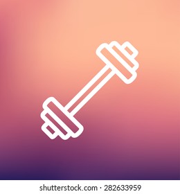 Barbell icon thin line for web and mobile, modern minimalistic flat design. Vector white icon on gradient mesh background.