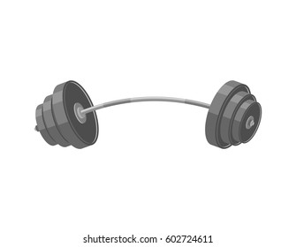 Barbell isolated. Fitness object on white background.
