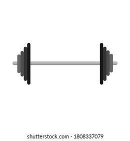 barbell vector icon. gym equipment