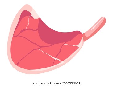 Barbeque And Cooking Meat On Grill, Isolated Piece Of Meat For Grilling And Preparing. Steak Pork Ribs Meal. Restaurant Menu, Special Ingredient For Traditional American Dishes. Vector In Flat Style