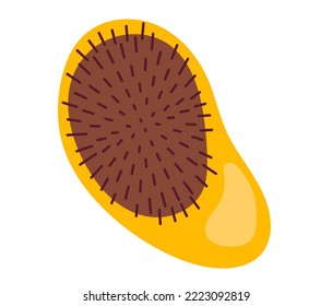 Barber beauty comb brush hair style isolated on white background. Vector graphic design element illustration