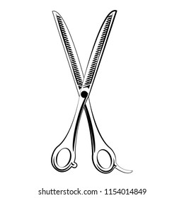 Barber hair scissor utensil in black and white