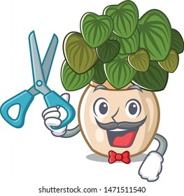 Barber peperomia grows in a mascot pot