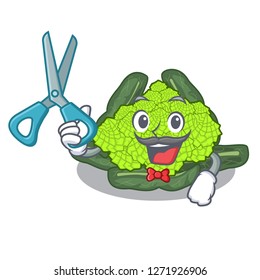 Barber roman cauliflower in the shape cartoon