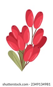 Barberry Berries Branch Vector Illustration