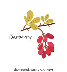  Berry.Vektorillustration im Flachstil.