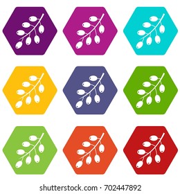 Barberry branch icon set many color hexahedron isolated on white vector illustration
