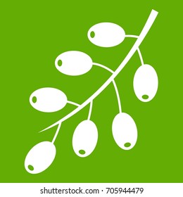 Barberry branch icon white isolated on green background. Vector illustration