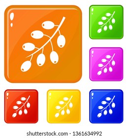 Barberry branch icons set collection vector 6 color isolated on white background