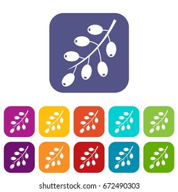 Barberry branch icons set vector illustration in flat style In colors red, blue, green and other