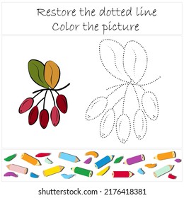 Barberry. Juego educativo de desarrollo para preescolares "Rastreo y color". Ilustración vectorial para niños, eps