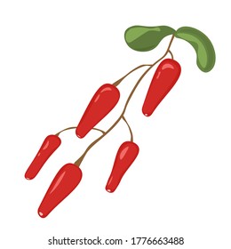 Barberry hand drawn ripe red berries bunch with leaves icon. Goji berry. 3d vector icons set.