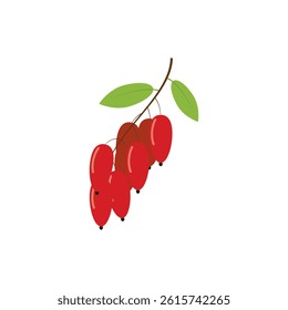 Barberry icon cartoon vector. Fruit goji. Healthy food