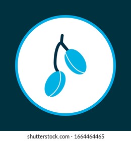 Barberry icon colored symbol. Premium quality isolated goji element in trendy style.