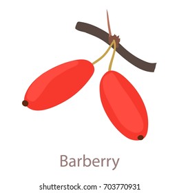 Barberry icon. Isometric illustration of barberry vector icon for web