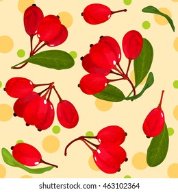 barberry illustration. Seamless vector