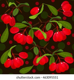 barberry illustration. Seamless vector. Branches berries herbs on background with circles