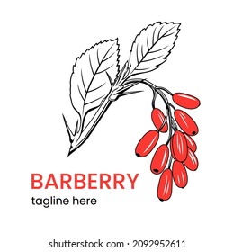 Barberry logo template. Hand drawn barberry branch. Stock vector emblem.