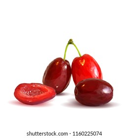 Barberry low poly. Fresh, nutritious and tasty dogwood. Symbols of berries. Elements for label design. Vector illustration. Berries ingredients in triangulation technique. Dogwood low poly.