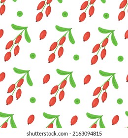 Barberry seamless pattern. Vector Illustration for printing, backgrounds, covers, packaging, greeting cards, posters, stickers, textile and seasonal design. Isolated on white background.