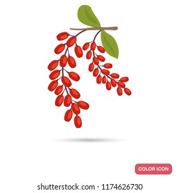 Barberry spice color flat icon