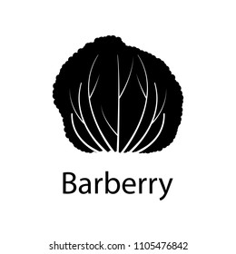 barberry tree illustration. Element of plant icon for mobile concept and web apps. Detailed barberry tree illustration can be used for web and mobile on white background