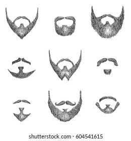 Barber's guide for beard styles vector