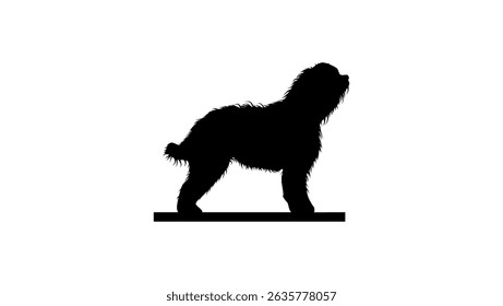 Barbet dog, black isolated silhouette