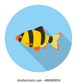 Barbus fish icon flat. Singe aquarium fish icon from the sea,ocean life long shadow.