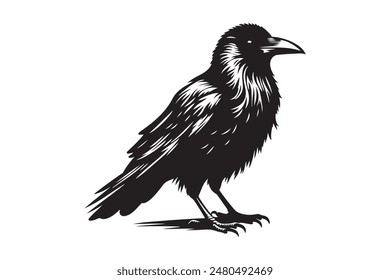 bard crow silhouettes vector Illustration with white background