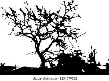 Bare autumn tree black silhouette isolated on white background. Vector illustration.