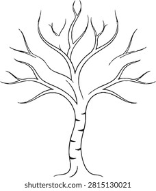 Bare birch tree branches outline, black and white winter nature line art illustration isolated on white background.