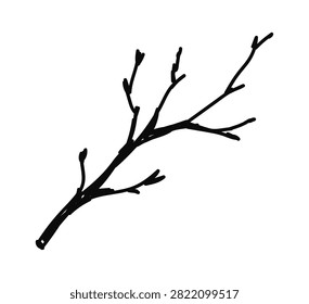 Bare branch with thin twig offshoots and buds, bold contour line style. Symbol of nature, rustic craft, and raw growth. Cartoon vector illustration.