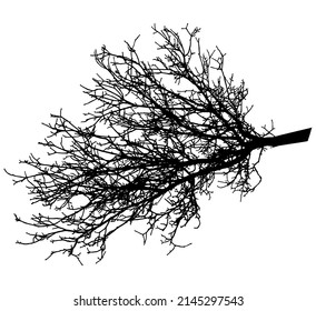Rama desnuda del árbol, silueta. Ilustración del vector