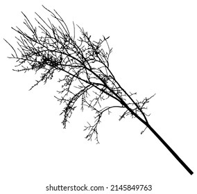 Seltsamer Zweig des Baumes, Silhouette. Vektorgrafik