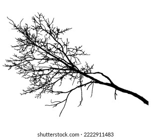 Bare branch of tree, silhouette. Vector illustration