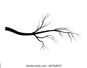 bare branch tree silhouette vector symbol icon design. Beautiful illustration isolated on white background
