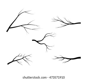 bare branch tree silhouette vector symbol icon design. Beautiful illustration isolated on white background
