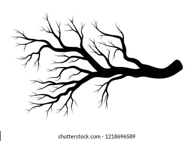 bare branch winter design isolated on white background