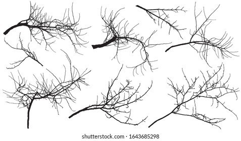 Bare branches different trees (apple tree, chestnut, cherry tree, poplar and etc.), set. Vector illustration.