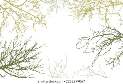Bare branches of trees silhouette, background. Vector illustration