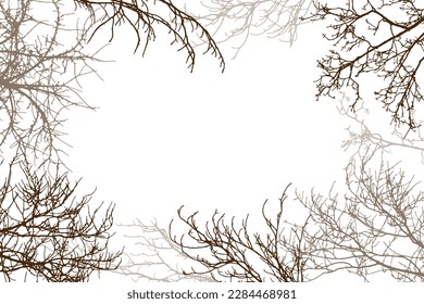 Bare branches of trees, silhouette, background. Vector illustration