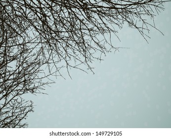 Bare branches winter background illustration