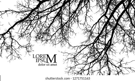 Bare branches of a winter tree. Vector