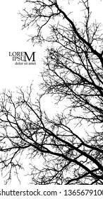 Bare branches of a winter tree. Vector