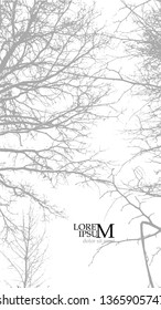 Bare branches of a winter tree. Vector