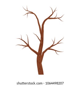 Bare brown tree without leaves isolated on white background. Autumn or winter tree. Vector Illustration